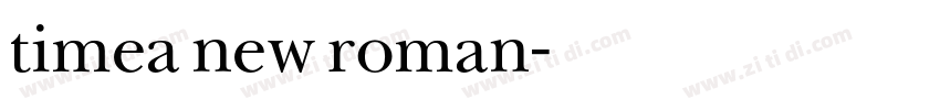 timea new roman字体转换